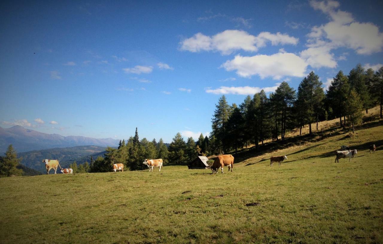 Ferienwohnung Biohof Laussnitzer In Rennweg Rennweg am Katschberg Εξωτερικό φωτογραφία