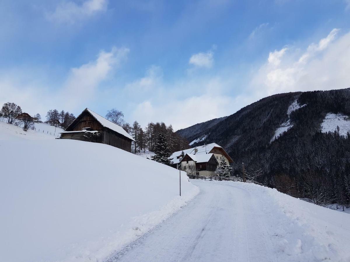 Ferienwohnung Biohof Laussnitzer In Rennweg Rennweg am Katschberg Εξωτερικό φωτογραφία